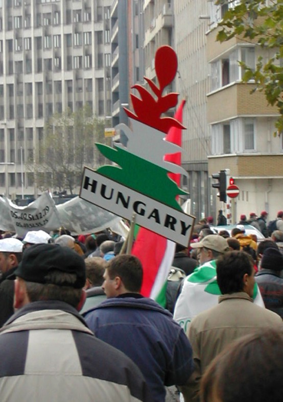 Magyar termelők